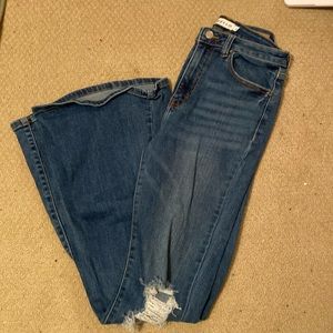 Cello jeans
